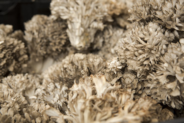 Similar image 18143525