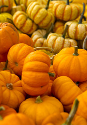 Similar image 18143910