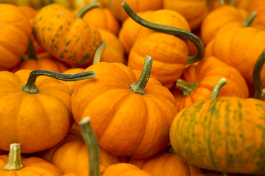 Similar image 18143927