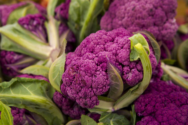 Similar image 18144093