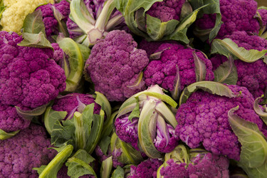 Similar image 18144094