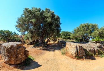 Similar image 18138715