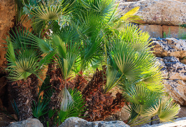 Similar image 18138610