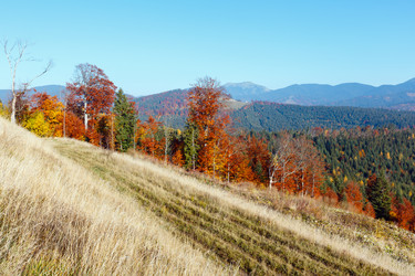 Similar image 18138629