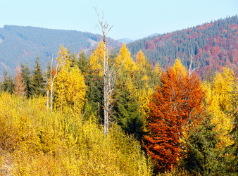 Similar image 18138630