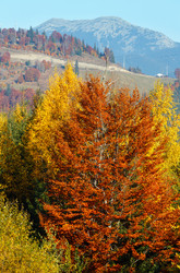 Similar image 18508041