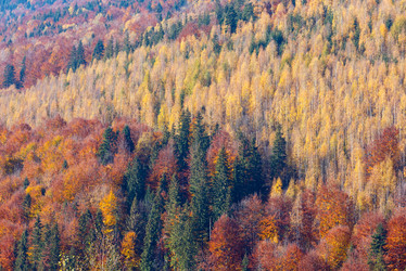 Similar image 18138594