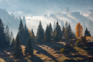 Similar image 18138701