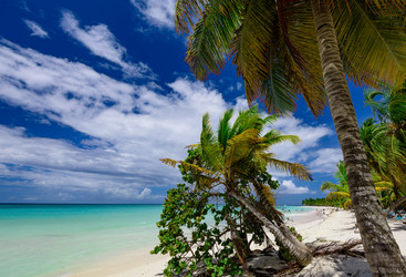 Similar image 18136210