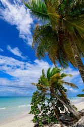 Similar image 18136211