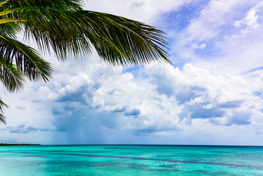 Similar image 18136275