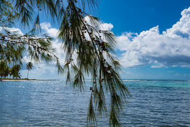 Similar image 18136228