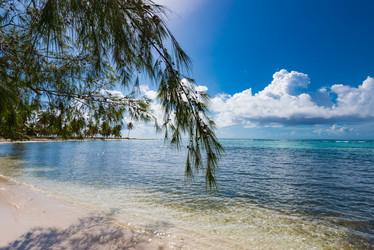 Similar image 18136229