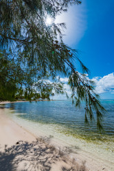 Similar image 18136230