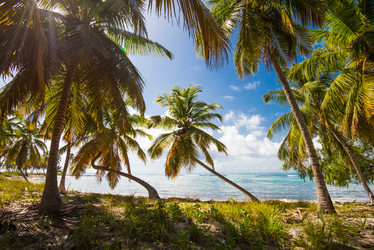 Similar image 18136232