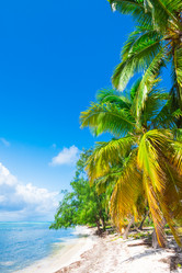 Similar image 18136233