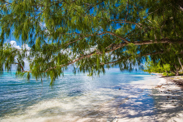 Similar image 18136234