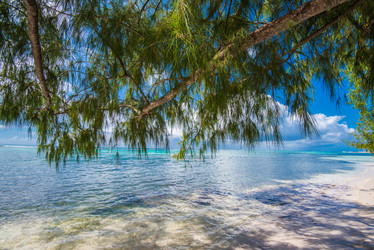 Similar image 18136235