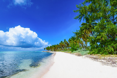 Similar image 18136236