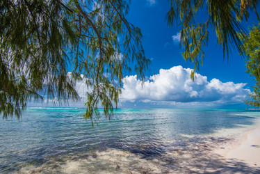 Similar image 18136237