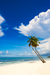 Similar image 18136261