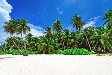 Similar image 18136272