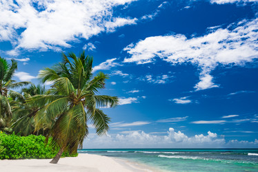 Similar image 18136287