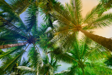 Similar image 18136292