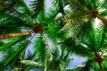 Similar image 18136295