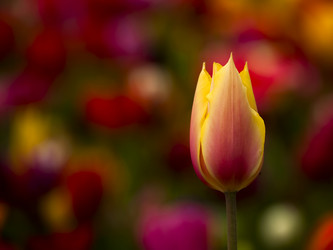 Similar image 18144416