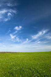 Similar image 18144507