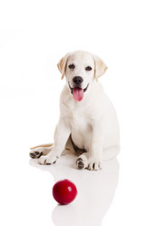 Similar image 18143647