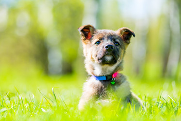 Similar image 18138414