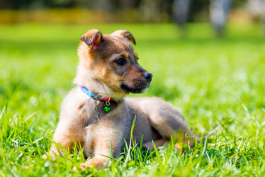 Similar image 18138420