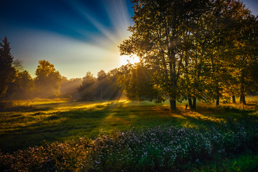 Similar image 18136297