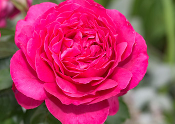 Similar image 18136274