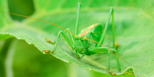 Similar image 18136279