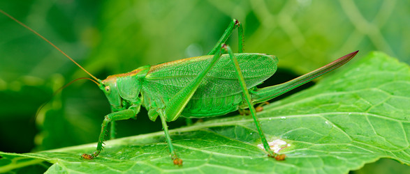 Similar image 18136280