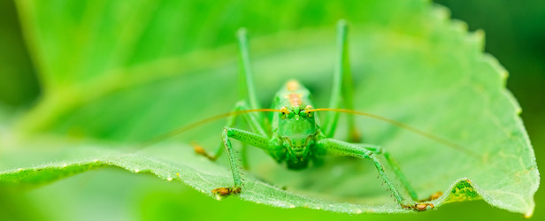 Similar image 18136281