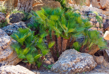 Similar image 18138601