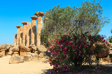 Similar image 18138603