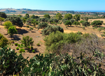 Similar image 18138604