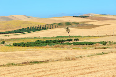 Similar image 18508047