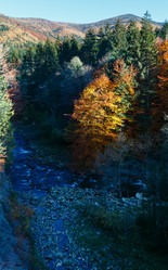 Similar image 18138584