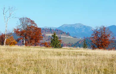 Similar image 18138606