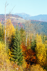 Similar image 18138609