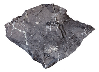 Similar image 17818547