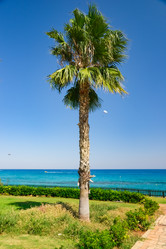 Similar image 18136402