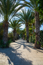 Similar image 18136323