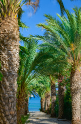 Similar image 18136327